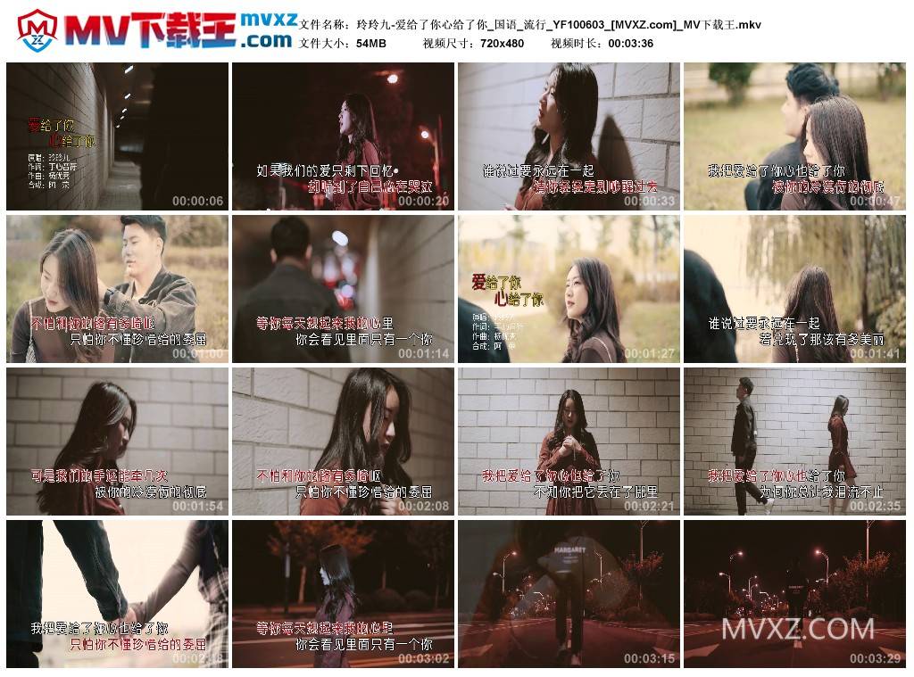 玲玲九-爱给了你心给了你_国语_流行_YF100603